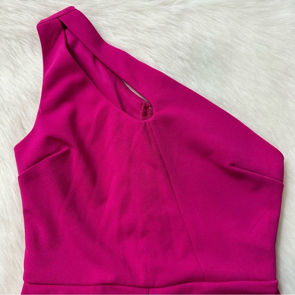 Pink Jumpsuit - Picture 5 of 13